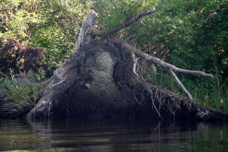 Killikus® Fotographie Killikus® Fotographie